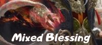 Mixed Blessing System